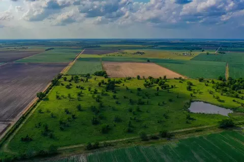 Other - 0000 Koym Rd, Beasley, TX 77417 photo 11 of 14