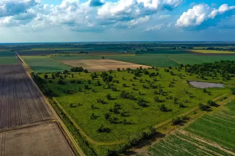 Other - 0000 Koym Rd, Beasley, TX 77417 photo 10 of 14