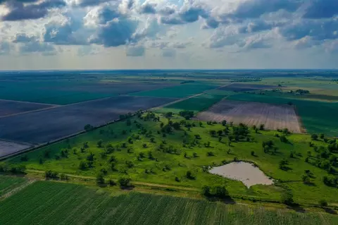 View/Area - 0000 Koym Rd, Beasley, TX 77417 photo 4 of 7