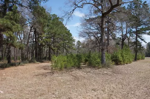 4345 Fm 3188, Trinity, TX 75862 photo 6