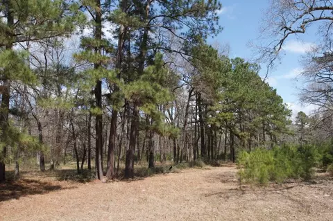4345 Fm 3188, Trinity, TX 75862 photo 5