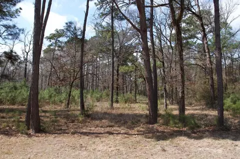 4345 Fm 3188, Trinity, TX 75862 photo 4