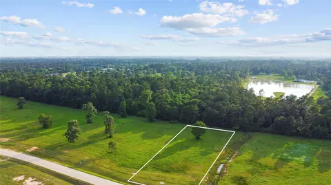 2040 Stallion Lakes Ave, Hockley, TX 77447