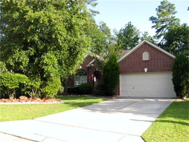 11 Almond Branch Pl, Spring, TX 77382 photo 1