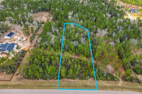 15466 Red Hawk Rd, Willis, TX 77378 photo 11