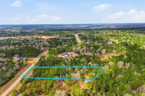 15466 Red Hawk Rd, Willis, TX 77378 photo 16