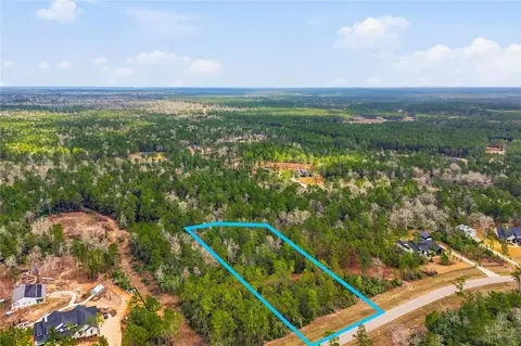 15466 Red Hawk Rd, Willis, TX 77378 photo 18