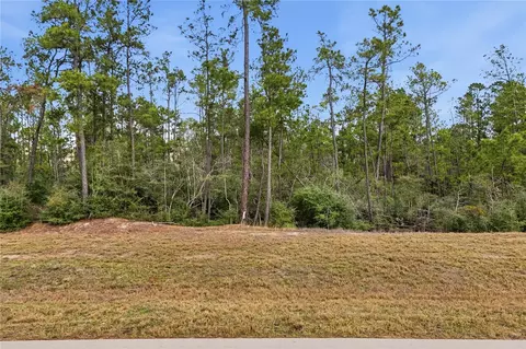 15466 Red Hawk Rd, Willis, TX 77378 photo 10