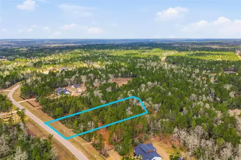 15466 Red Hawk Rd, Willis, TX 77378 photo 17