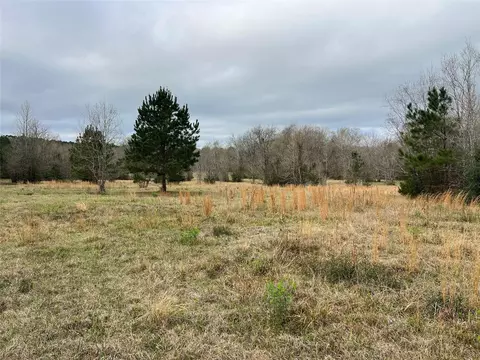 tbd 59 N, Livingston, TX 77351