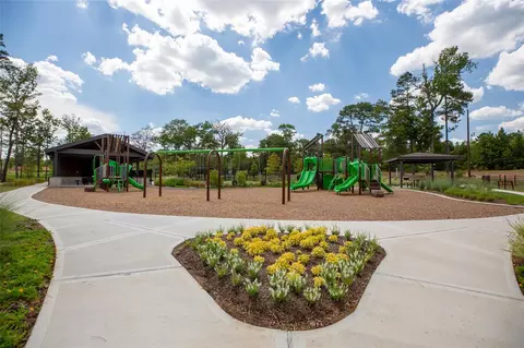 View/Area - 13420 Yellow Perch Dr, Conroe, TX 77384 photo 4 of 4