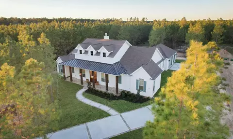 10545 Link Tree Ln, Willis, TX 77378 photo 17