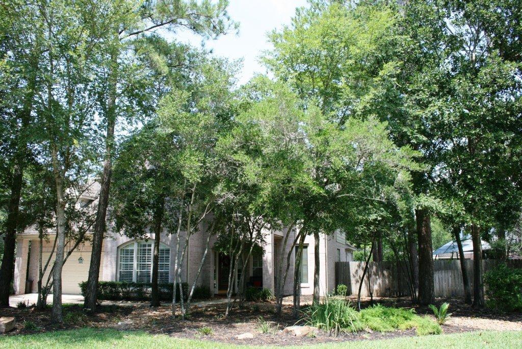 61 N Greenvine Ct, Spring, TX 77382 photo 1