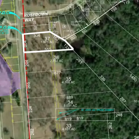 lot37 Lake Livingston Ln, Trinity, TX 75862