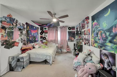 Bedroom - 25610 Walnut Grove Cir, Spring, TX 77380 photo 6 of 7