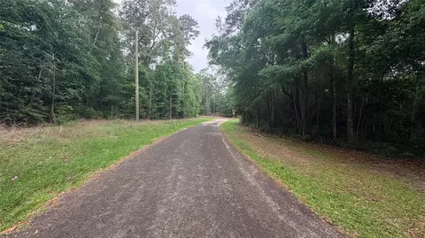 lot19 20 Perdilot Dr, Ivanhoe, TX 75979