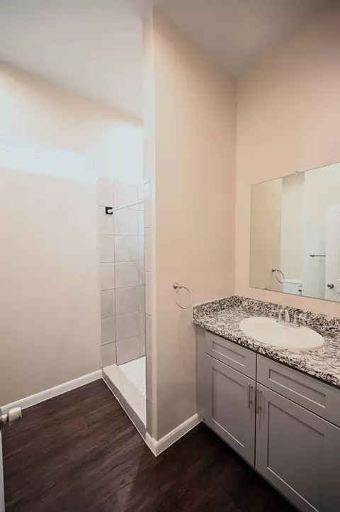 Bath - 4955 Ambient Dr, Spring, TX 77379 photo 2 of 3