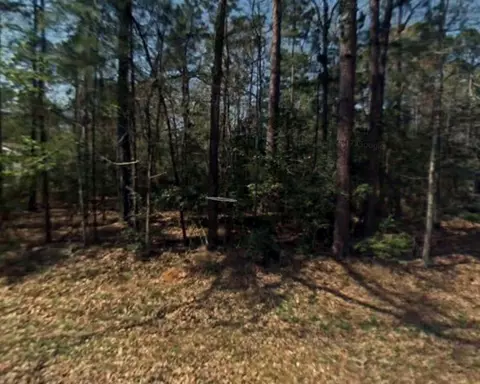 0 Rosemary Ln, Livingston, TX 77351
