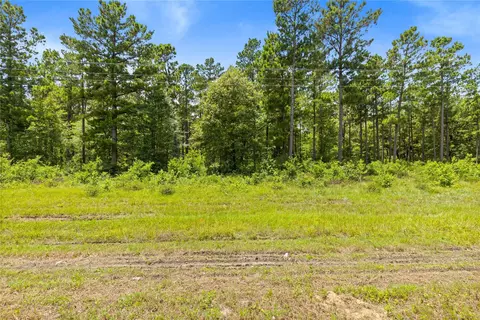 00 Fm 230, Trinity, TX 75862 photo 5