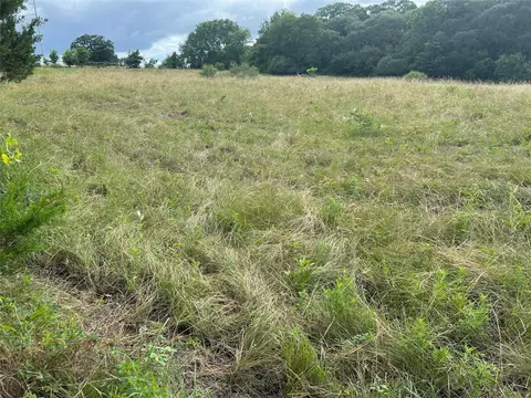 0000 Langdon Road And Fm 1579, Schulenburg, TX 78956