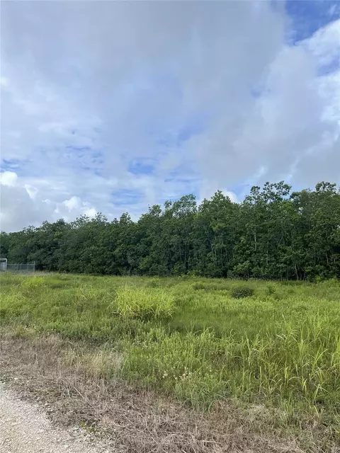 3021 County Road 62 Off, Iowa Colony, TX 77583