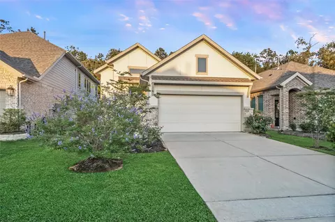 17435 Vino Vines Ln, Conroe, TX 77302