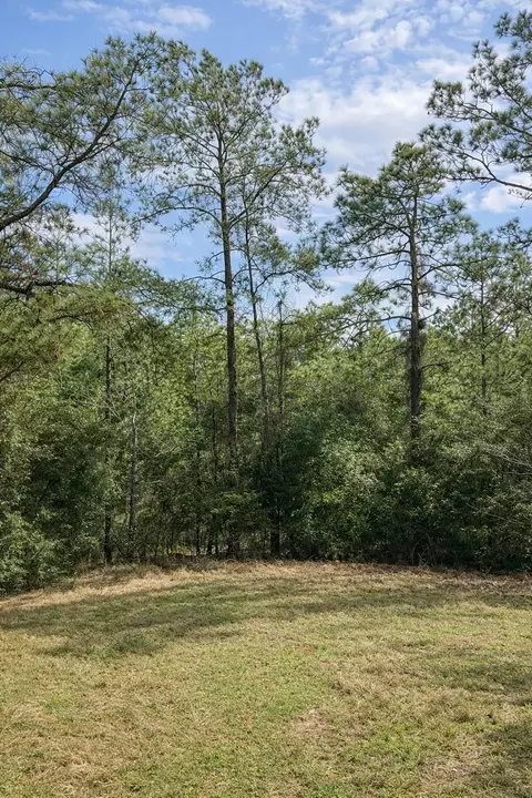 tbd 123 Palmer Dr, Brookeland, TX 75931