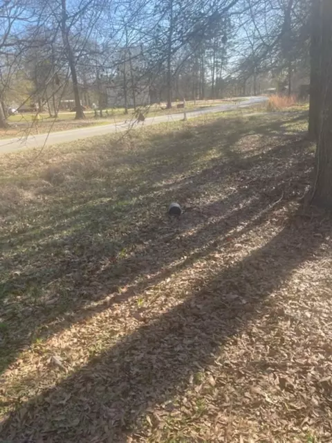 Other - 15432 Oconnor Dr, Splendora, TX 77372 photo 6 of 10