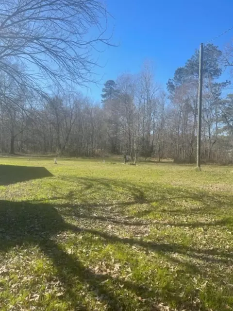 Other - 15432 Oconnor Dr, Splendora, TX 77372 photo 7 of 10