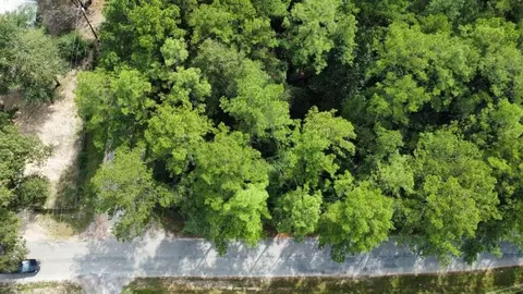 lot336 Powdrill, Buna, TX 77612