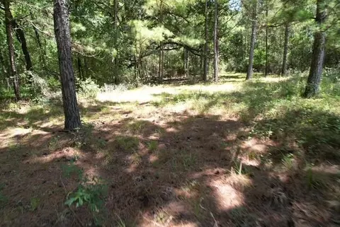 0000 Jones Rd, New Waverly, TX 77358