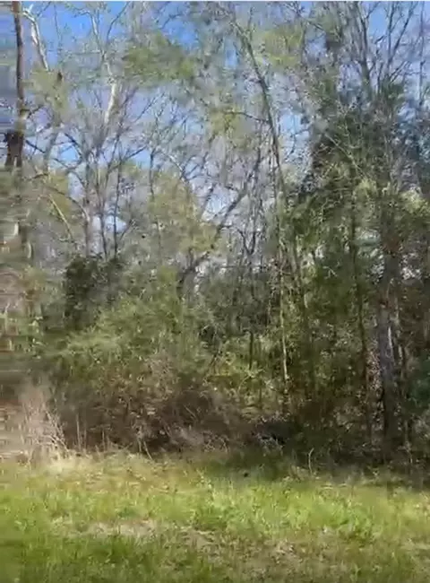 24961 Leitrim Street St, Hempstead, TX 77445