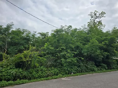 0 Ave F Tbd, Conroe, TX 77301