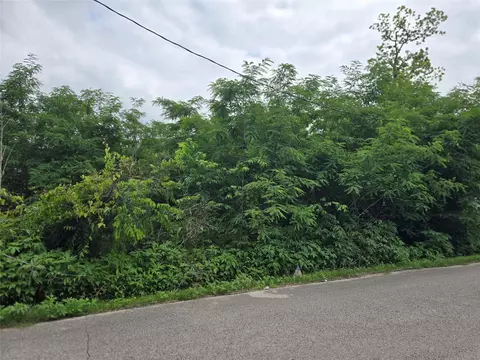 0 Ave F Tbd, Conroe, TX 77301 photo 3