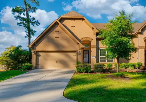 115 Skybranch Dr, Conroe, TX 77304 photo 1