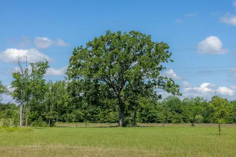 6781 Atakapan Trl, Bedias, TX 77831