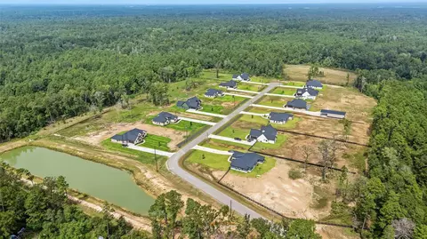 View/Area - 15036 Tybee Ln, Conroe, TX 77306 photo 5 of 10
