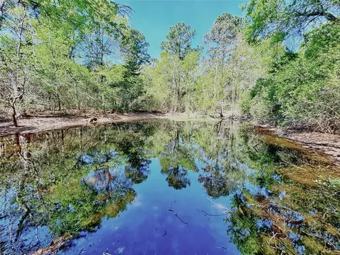 000 Cr 3495, Lovelady, TX 75851