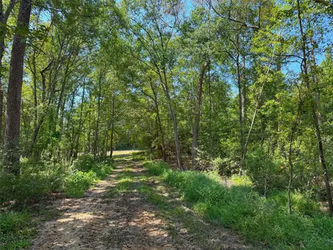 tbd Cr 129, Centerville, TX 75833
