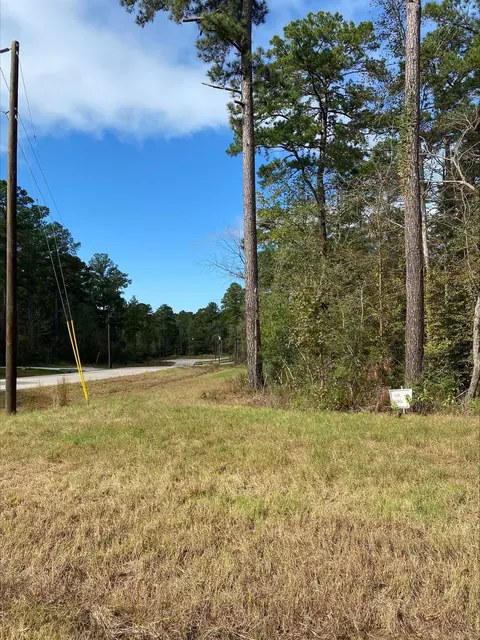 14-37 40 Sandpiper Dr, New Waverly, TX 77358