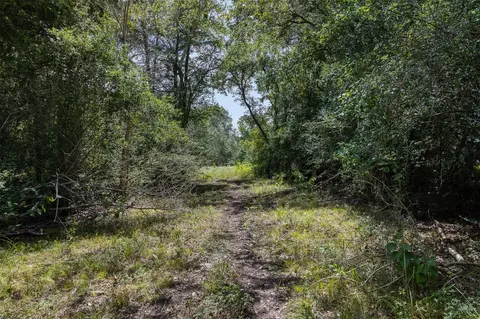 Other - 9809 Mazoch Rd, Weimar, TX 78962 photo 5 of 5