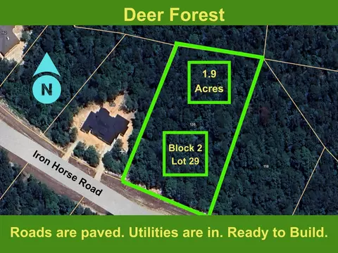 126 Iron Horse Rd, Willis, TX 77378