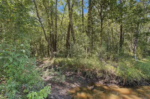 tbd Barfield Dr, Shepherd, TX 77371 photo 26