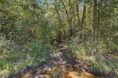 tbd Barfield Dr, Shepherd, TX 77371 photo 19