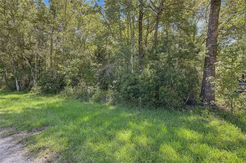 tbd Barfield Dr, Shepherd, TX 77371 photo 24