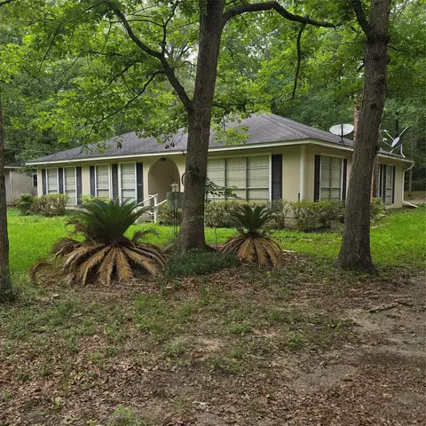 910 Ragsdale Springs Rd, Shepherd, TX 77371