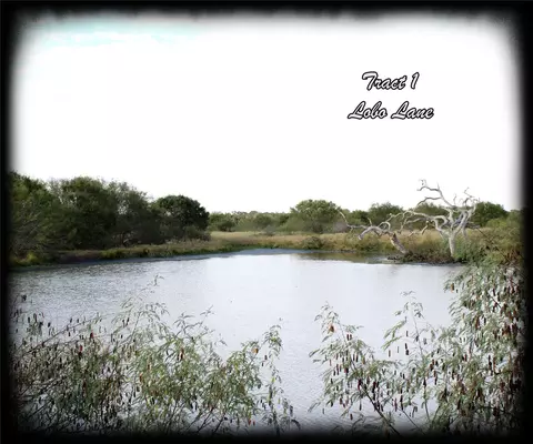 Parcel 1 Lobo Lane, Columbus, TX 78934