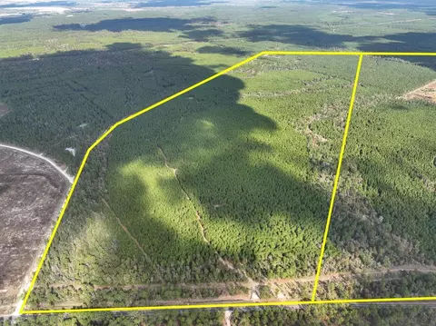 3 Farm To Market Road 247, Huntsville, TX 77340