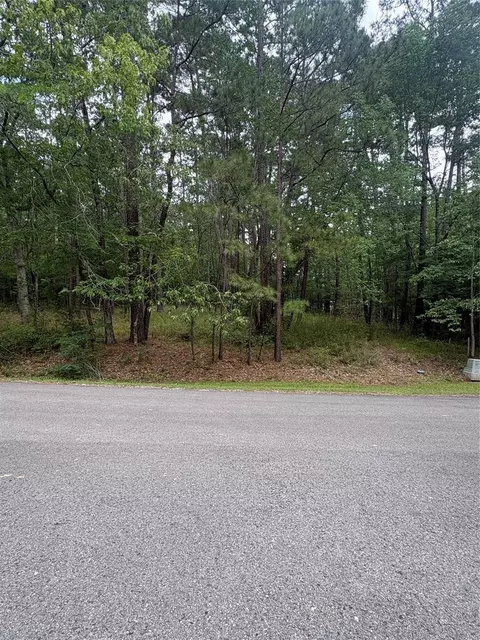 78 Wentworth Ln, Coldspring, TX 77331