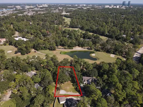 10816 Colony Wood Pl, Spring, TX 77380